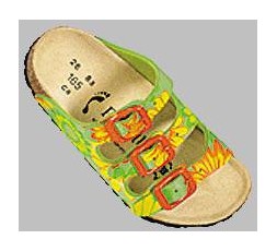 Florida - Flower Anis - 30